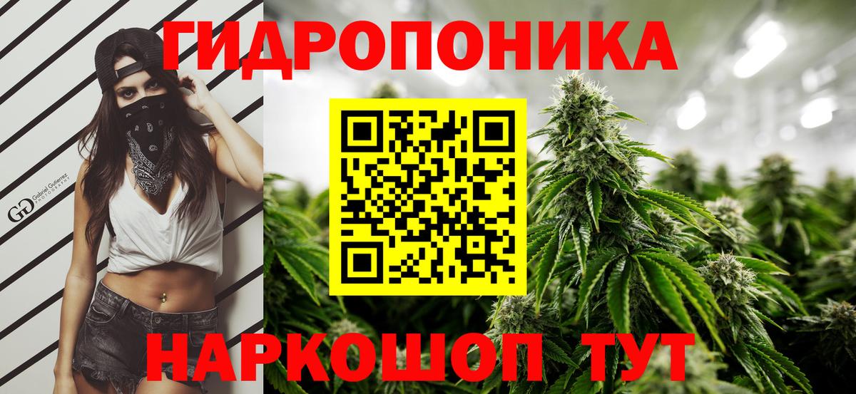 Шишки марихуана сатива  Бошки Шишки MAZAR  Скопин  Вход с VPN  Бошки марихуана конопля 